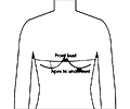 Bust Measurement